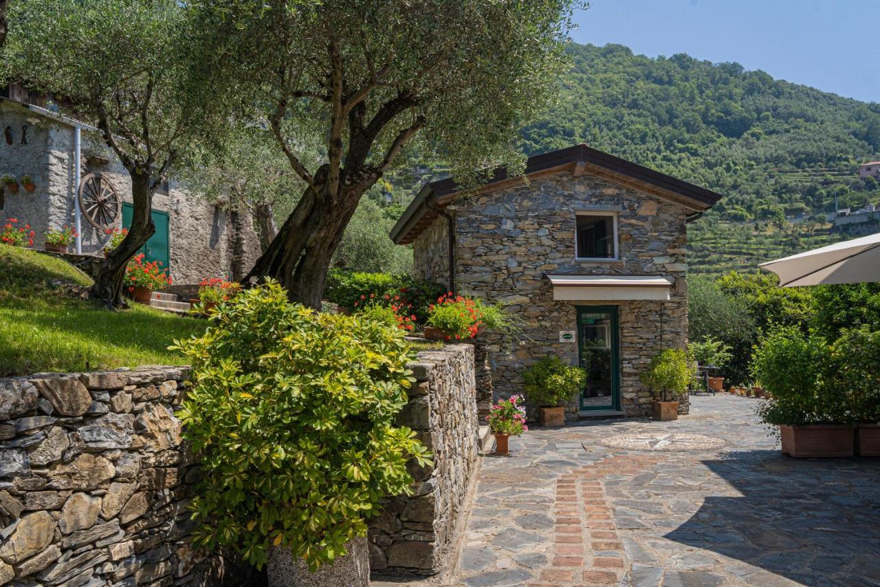 Paggi Bed & Breakfast Carasco
